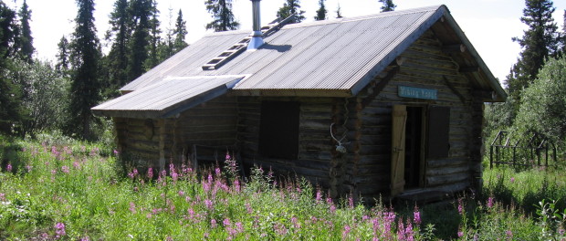 Viking Lodge Cabin Alaska
