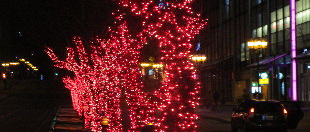 Christmas Lights. Photo Rachel Levine