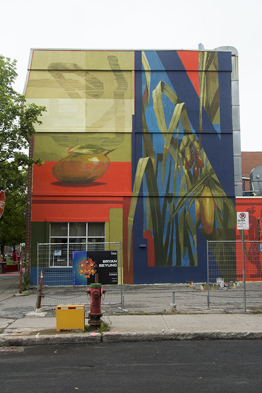 Montreal Mural Festival. Photo Marlene Wilson.Montreal Mural Festival 2019. Photo Marlene Wilson.