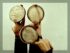 Three men with hand drums