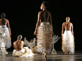Hatched Ensemble. By Mamela's Artistic Movement PICTURE: MARK WESSELS.