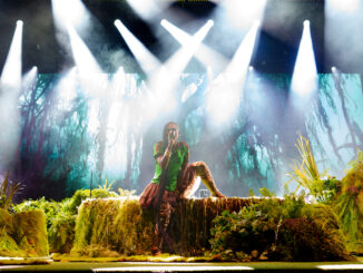 singer on stage with swamp theme