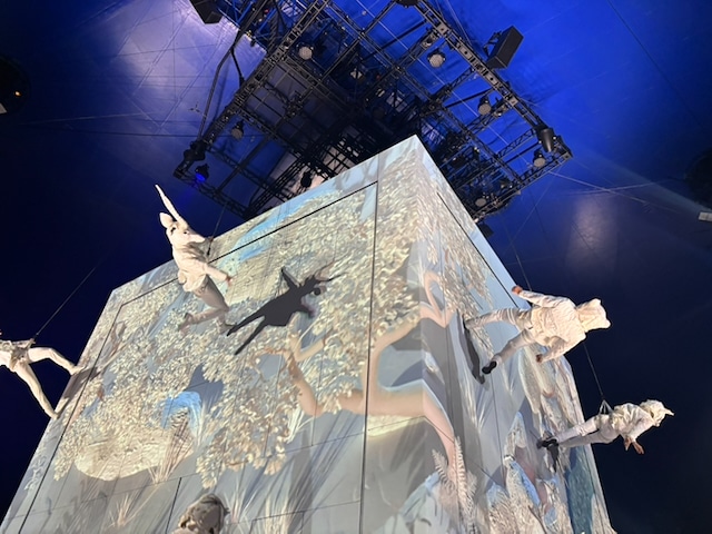 White cube aerial ballet