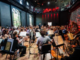 Orchestra seen from behind