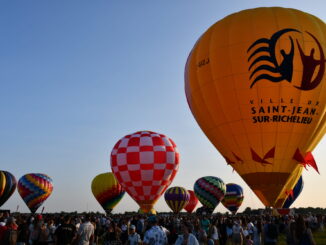 hot air balloons on the ground with crowd