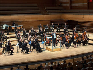 Orchestra. Music. Warm colours.